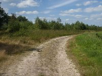 NL, Noord-Brabant, Asten, Berkenbruin 1, Saxifraga-Marijke Verhagen